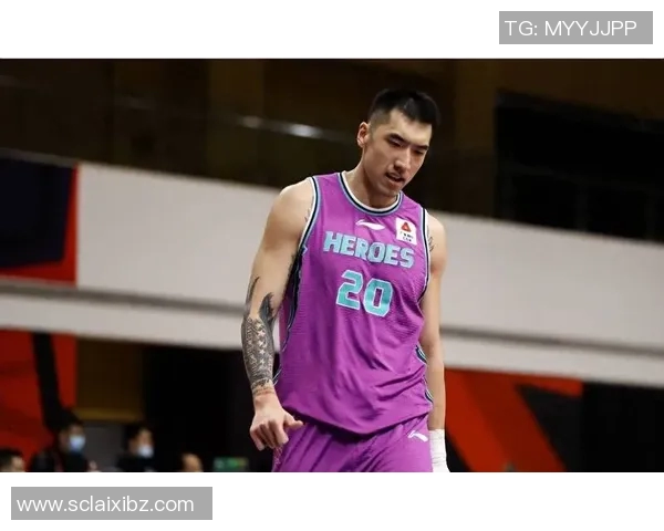 陶汉林：从篮球场上的拼搏者到社会公益的积极倡导者