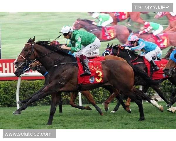 香港赛马会排位揭秘：如何在赛马中提升胜率与技巧分析