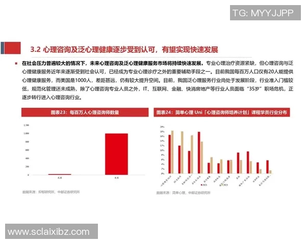 加维的崛起与未来发展潜力分析探讨