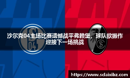 沙尔克04主场比赛遗憾战平弗赖堡，球队欲振作迎接下一场挑战