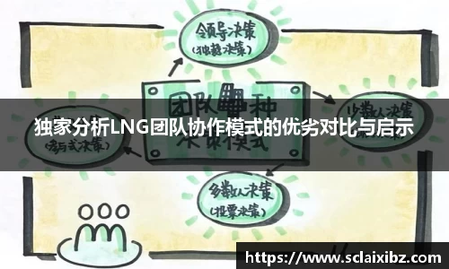 独家分析LNG团队协作模式的优劣对比与启示