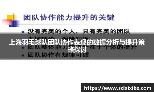 上海羽毛球队团队协作表现的数据分析与提升策略探讨