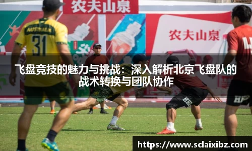 飞盘竞技的魅力与挑战：深入解析北京飞盘队的战术转换与团队协作