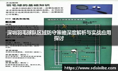 深圳羽毛球队区域防守策略深度解析与实战应用探讨