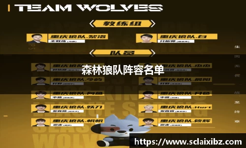 森林狼队阵容名单