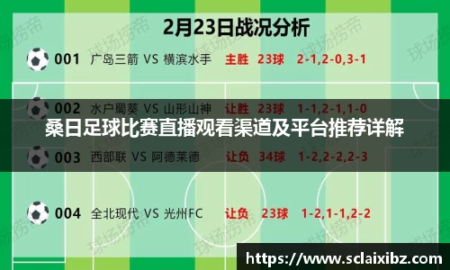 桑日足球比赛直播观看渠道及平台推荐详解