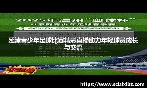 延津青少年足球比赛精彩直播助力年轻球员成长与交流